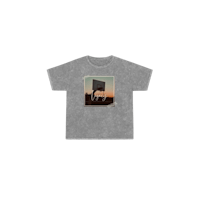 a gray t - shirt with a picture of a horse on it